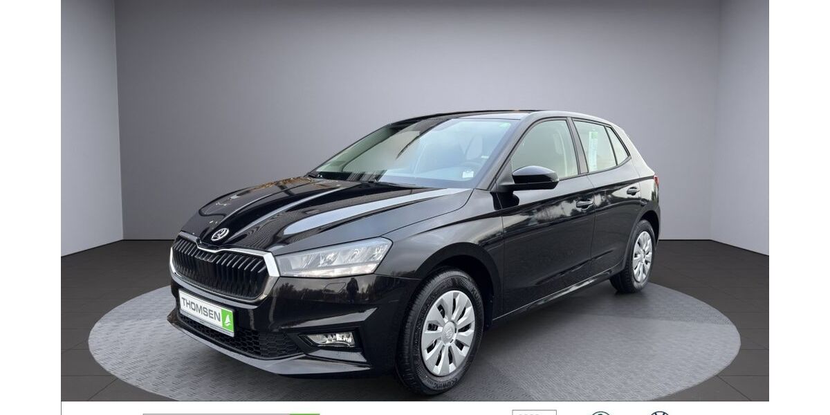 Skoda Fabia 1.100 km 17.990 &euro; Kropp 24848