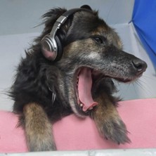 Werkstatt: Knallkrebs, Kuckuck & Co 14.04.2026 LOFFT - DAS THEATER, Leipzig