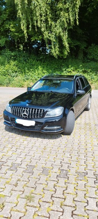 C 250