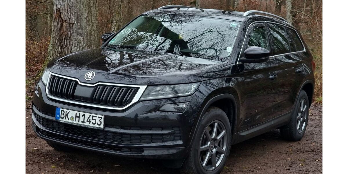 Skoda Kodiaq 173.000 km 22.999 &euro; Backnang 71522