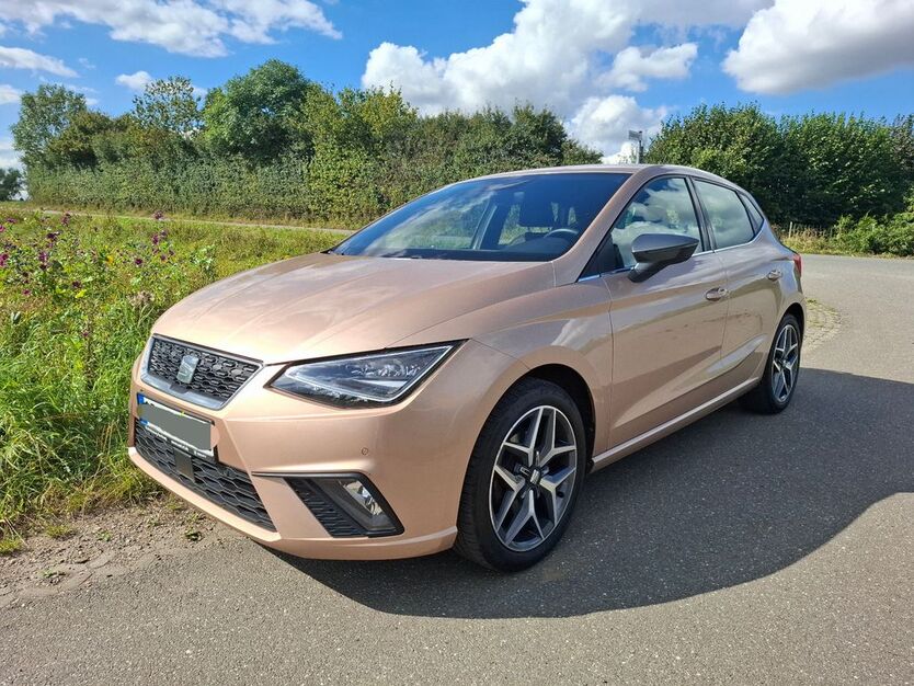 Seat Ibiza 95.845 km 12.800 € Pölitz 23847