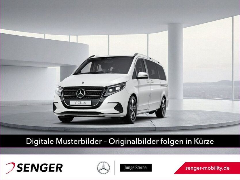 V 250