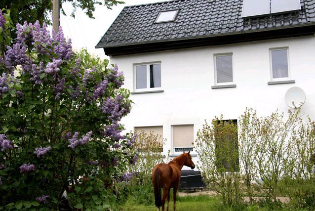 Einfamilienhaus Schmölln - 3 Zimmer, 85 m&sup2;, 85.000&euro; | Angebot:26378792