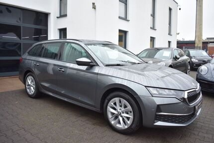 Skoda Octavia 19.798 km 30.970 € Werther/Westfalen 33824