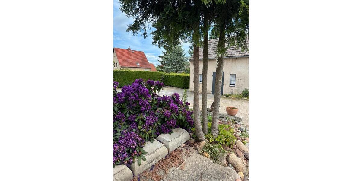 Einfamilienhaus Wittenberg Lutherstadt Reinsdorf - 259.000&euro; | Angebot:27027655
