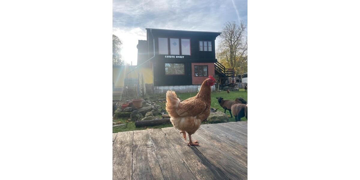 Traumhafte Einliegerwohnung in 23992 Passee zu vermieten 2 zimmer