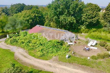 Großzügiger Garten mit Weinberg, Reben und 200 m² Gewächshaus zimmer