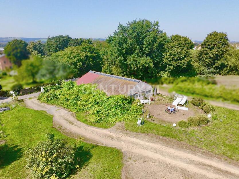 Großzügiger Garten mit Weinberg, Reben und 200 m² Gewächshaus zimmer