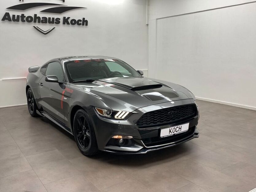 Mustang