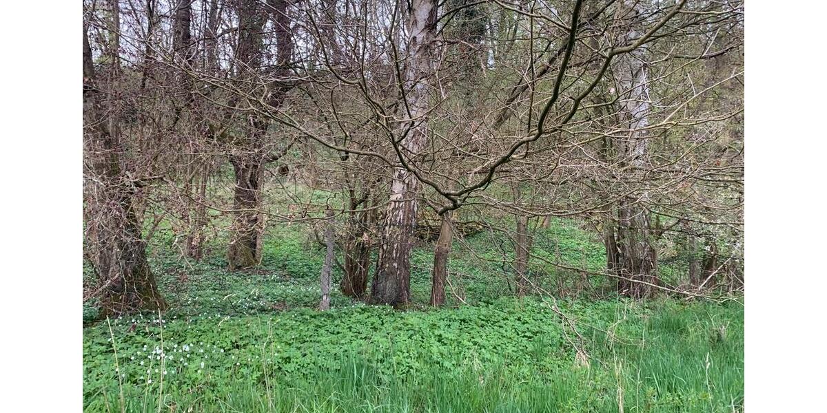 Grundstück Runkel - 30.000&euro; | Angebot:26133688