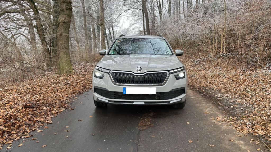 Skoda Kamiq 146.653 km 11.490 &euro; Riedlingen 88499