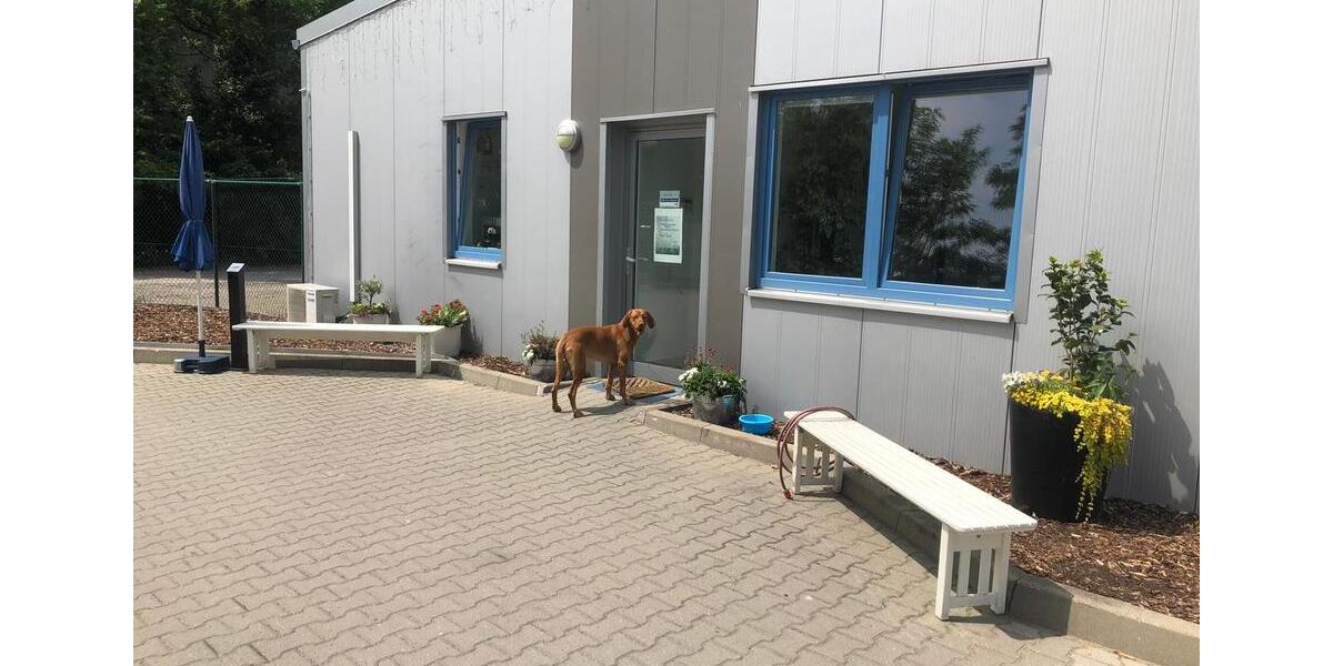 Gewerbeobjekt Nuthetal - 1.000&euro; | Angebot:25960727