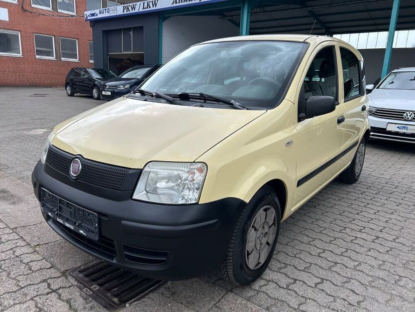 Panda