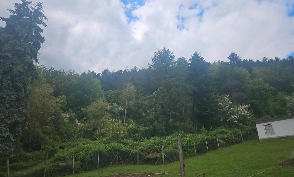 Mehrfamilienhaus, Wohnhaus Rammelsbach - 15 Zimmer, 350 m&sup2;, 235.000&euro; | Angebot:27158181
