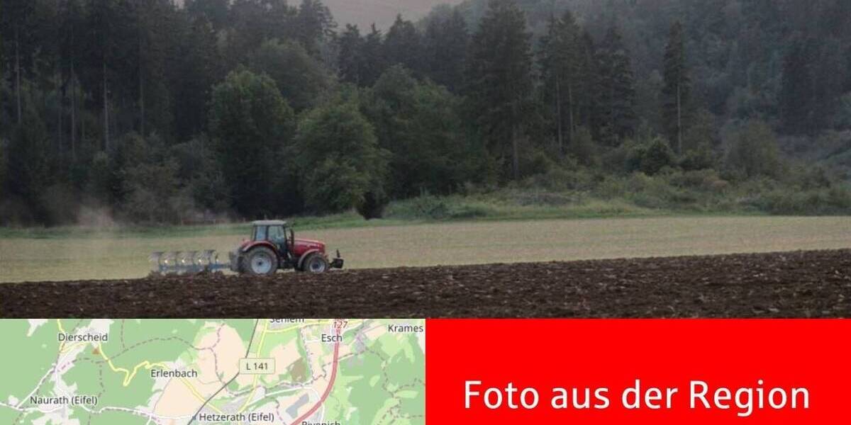 Mehrfamilienhaus, Wohnhaus Föhren - 6 Zimmer, 185 m&sup2;, 439.000&euro; | Angebot:25997883