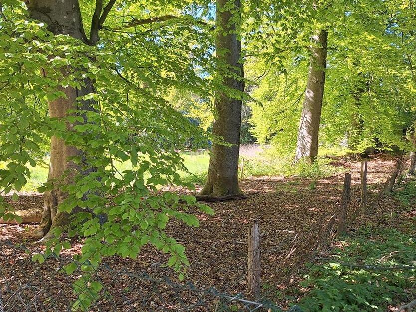 Resthof Grundstück