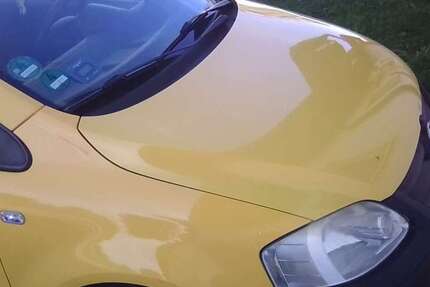 VW Fox