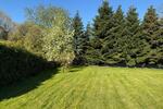 Großes Einfamilienhaus in Osteel (SG Brookmwerland) - Einfamilienhaus Osteel | Angebot:26351091
