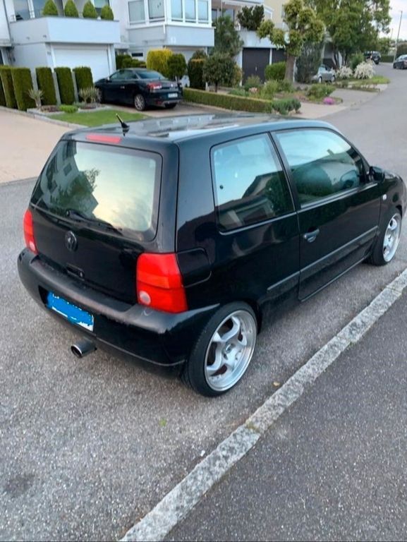 Lupo