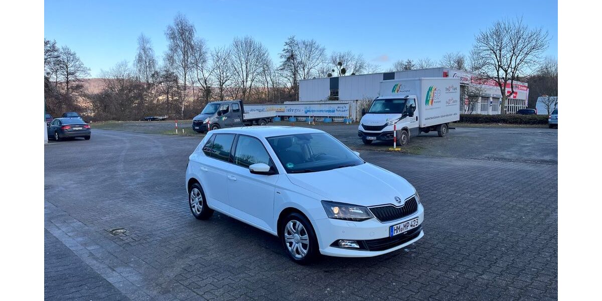 Skoda Fabia 118.000 km 8.400 &euro; Bad Pyrmont 31812