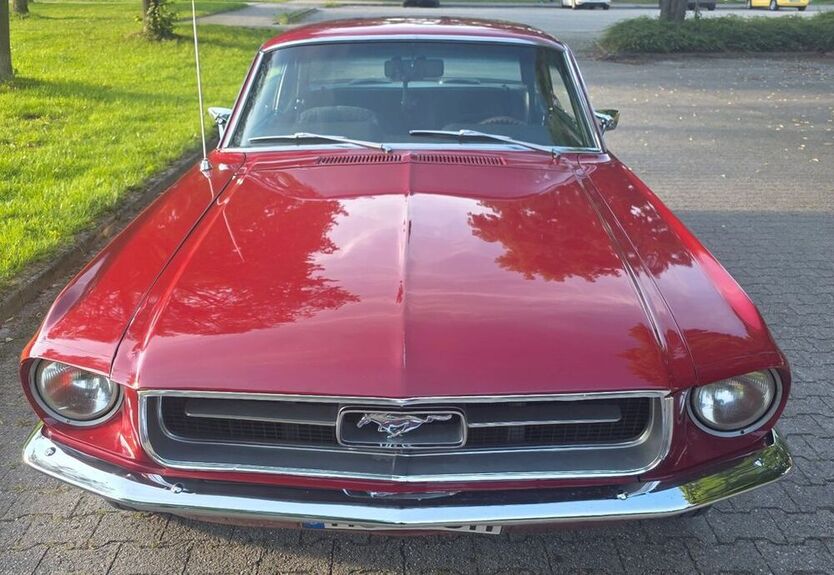 Mustang