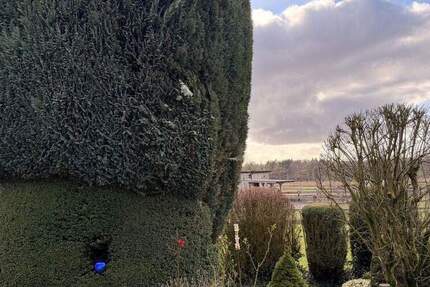 Grundstück Rosengarten Langenrehm - 300.000&euro; | Angebot:25741815