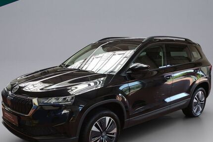Skoda Karoq 99.900 km 24.890 &euro; Emmendingen 79312