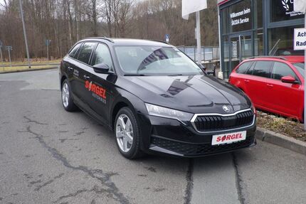 Skoda Octavia 2.500 km 31.450 € Bad Elster 08645