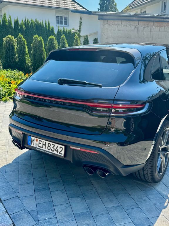 Macan