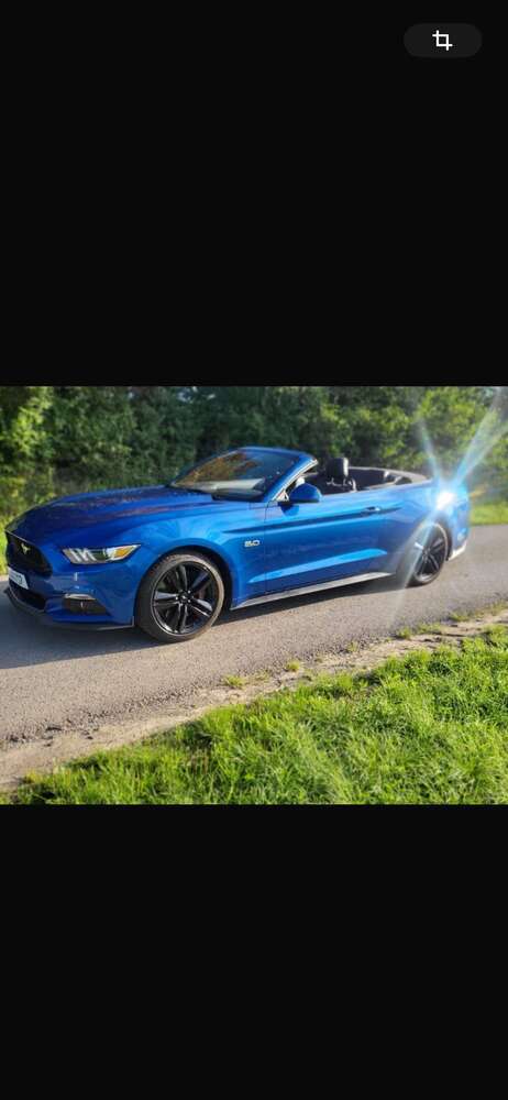 Mustang