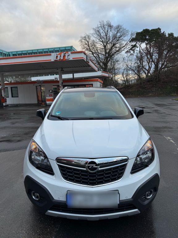 Mokka