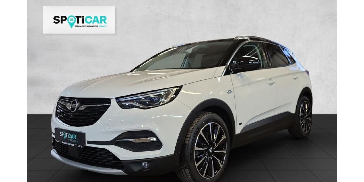 Opel Grandland (X) 31.240 km 25.950 &euro; Meiningen 98617