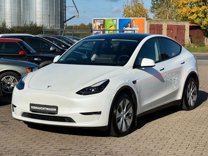 Model Y
