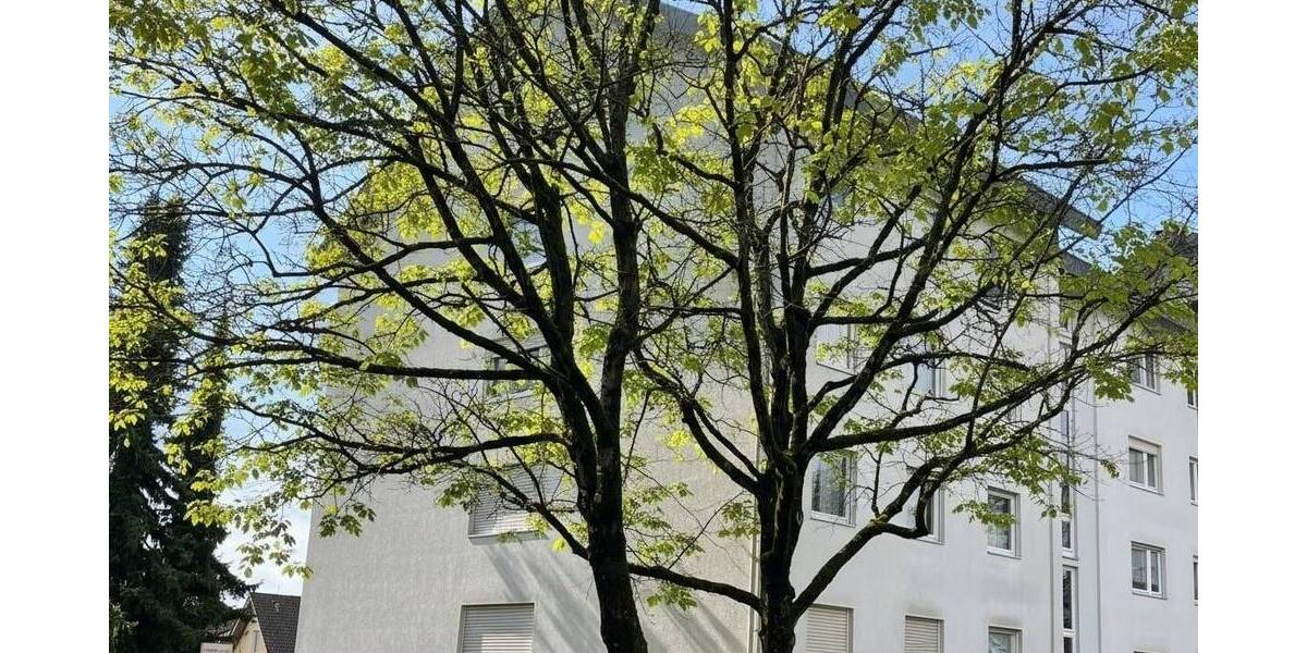 Etagenwohnung Lahr - 4 Zimmer, 105 m&sup2;, 295.000&euro; | Angebot:26259344