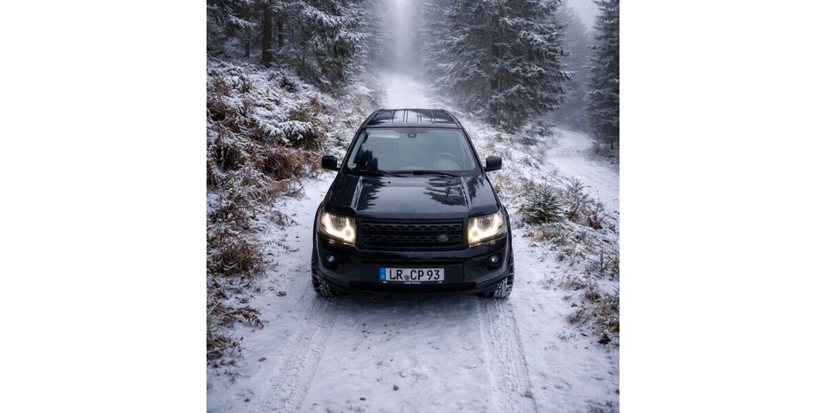 Land Rover Freelander 210.000 km 8.990 &euro; Renchen 77871