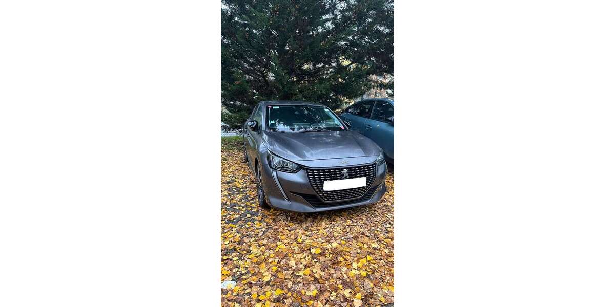 Peugeot 208 10.571 km 14.980 &euro; Rüsselsheim 65428