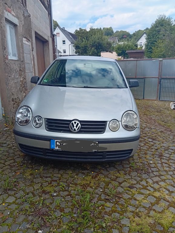 Polo