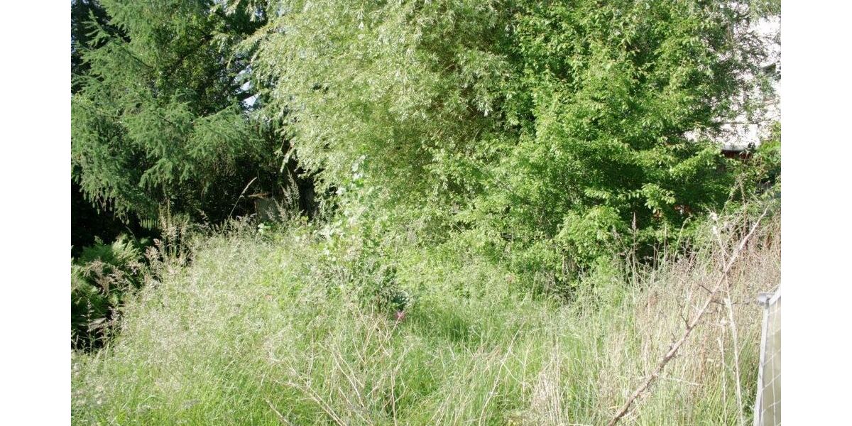 Sanierungsobjekt mit Potential in Pulsnitz - Einfamilienhaus Pulsnitz | Angebot:26930668