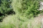 Sanierungsobjekt mit Potential in Pulsnitz - Einfamilienhaus Pulsnitz | Angebot:26930668