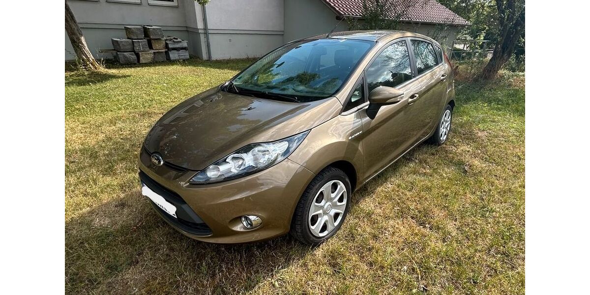 Ford Fiesta 56.500 km 5.700 &euro; Hollenbach 74673