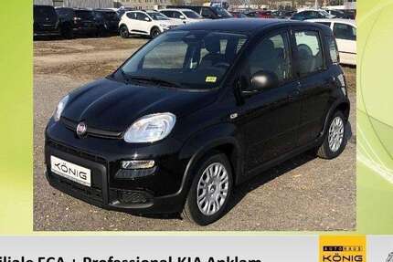 Fiat Panda 2.503 km 14.288 &euro; Anklam 17389