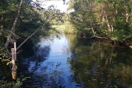 VW Sharan 83.000 km 28.900 &euro; Mustin 23911