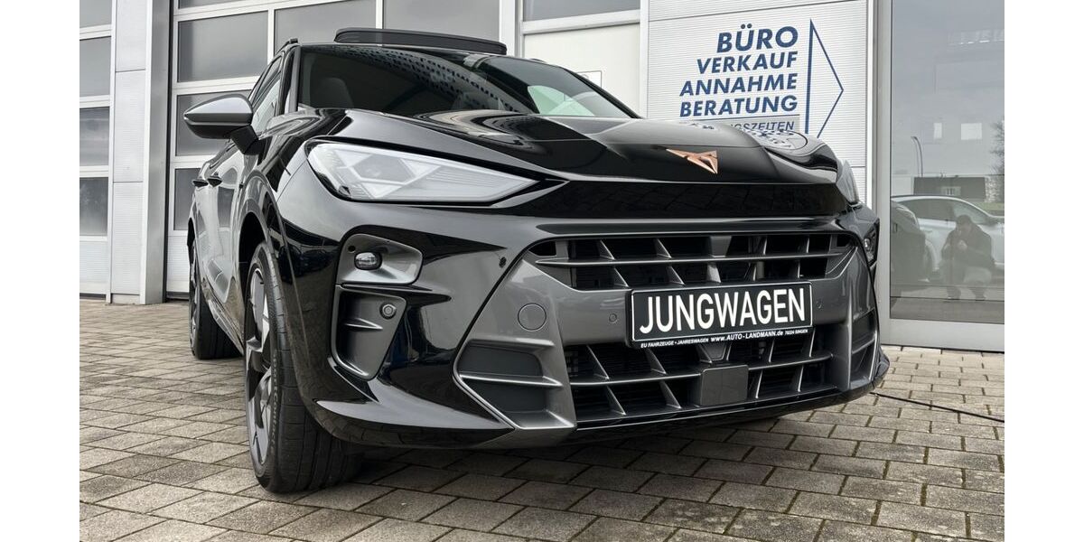 Cupra Terramar 13.500 km 39.870 &euro; Singen 78224