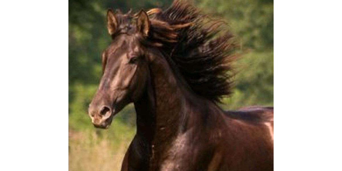 Etagenwohnung Murrhardt - 4 Zimmer, 130 m&sup2;, 250&euro; | Angebot:24717627