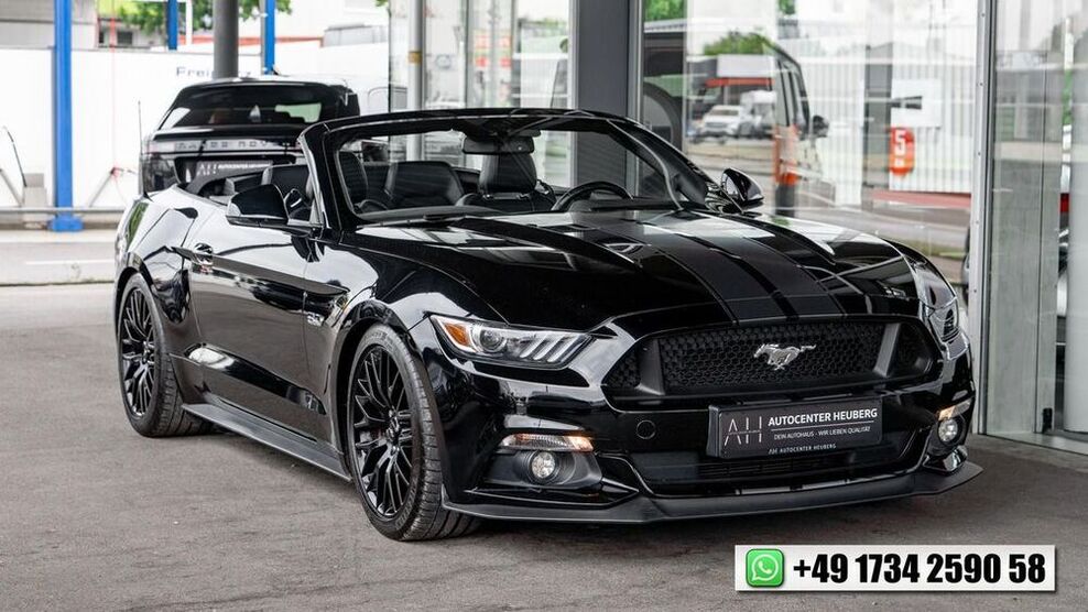 Mustang