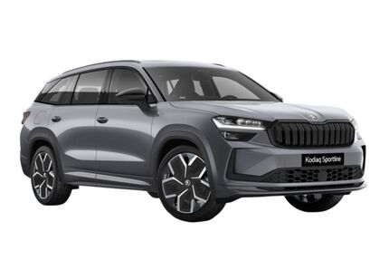 Skoda Kodiaq 50 km 45.446 &euro; Schöneck 61137