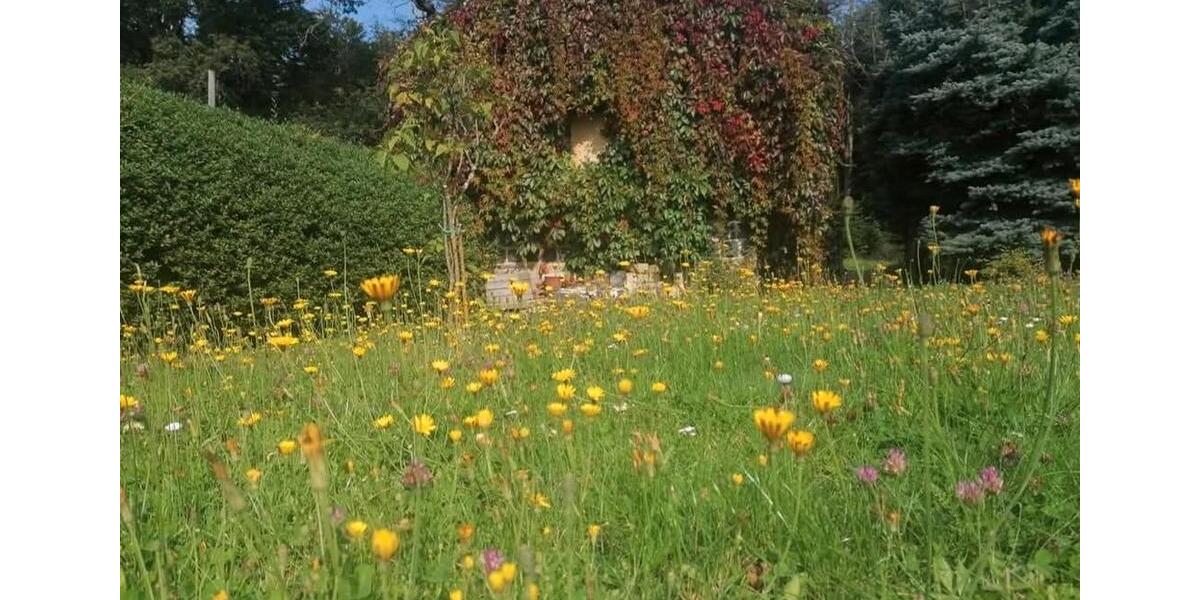 Terrassenwohnung Laucha an der Unstrut - 1 Zimmer, 56 m&sup2;, 35.000&euro; | Angebot:26020746