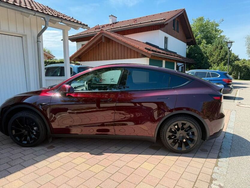 Model Y
