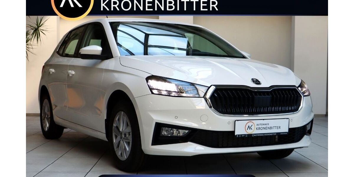 Skoda Fabia 7.943 km 19.590 &euro; Horb am Neckar 72160