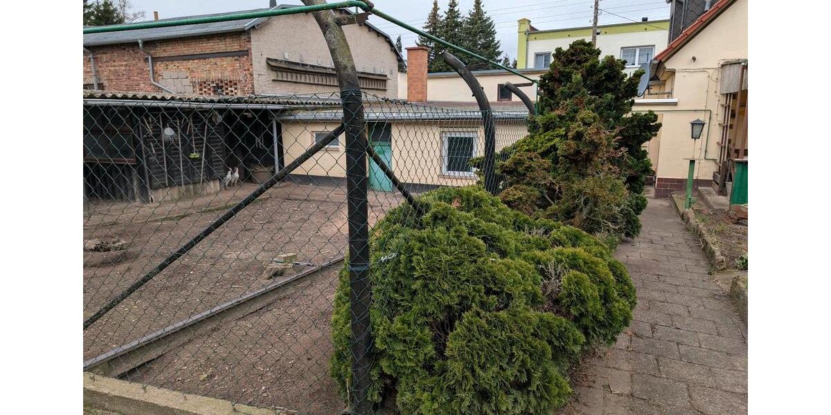 Einfamilienhaus Südliches Anhalt Pfaffendorf - 7 Zimmer, 116 m&sup2;, 118.500&euro; | Angebot:26095190